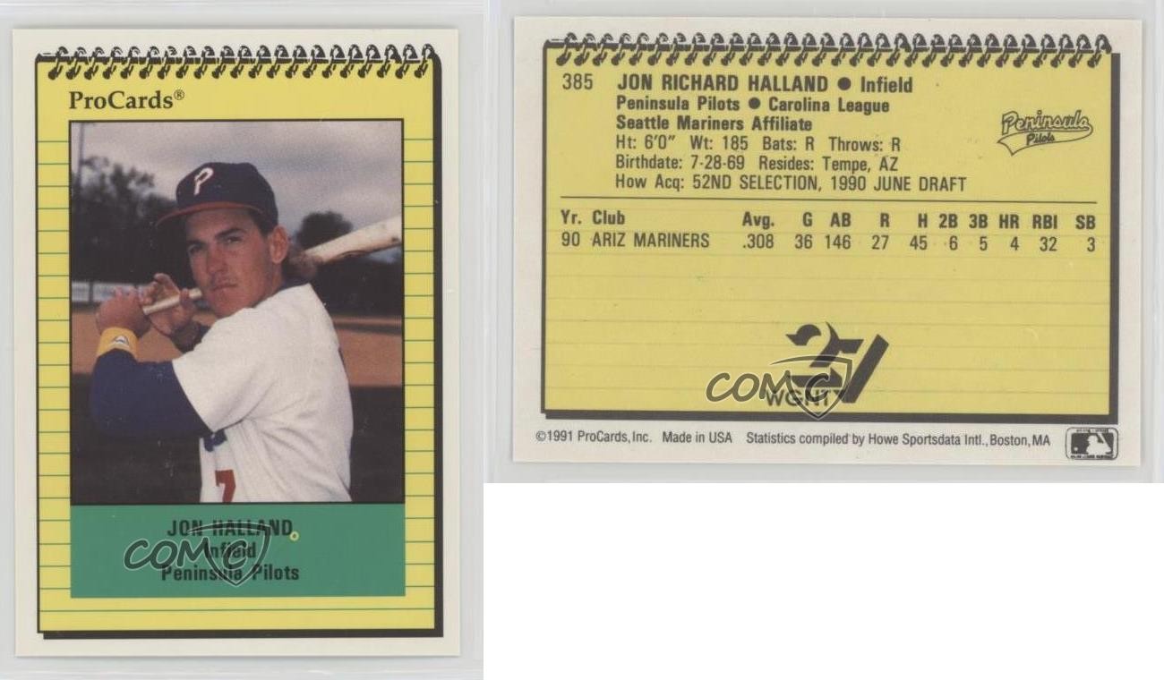 1991 ProCards Minor League Jon Halland #385 0w6