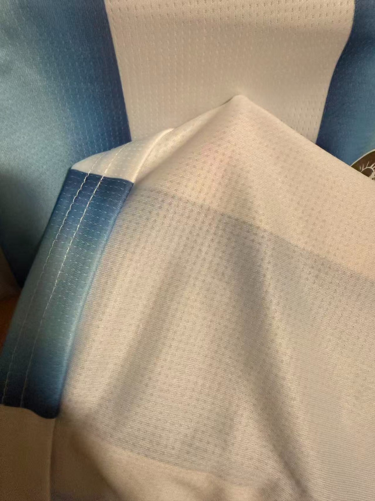2026 Argentina Home Jersey 10 size S-4XL(FAST SHIPPING)