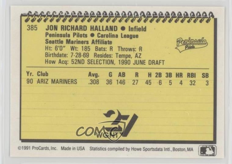 1991 ProCards Minor League Jon Halland #385 0w6