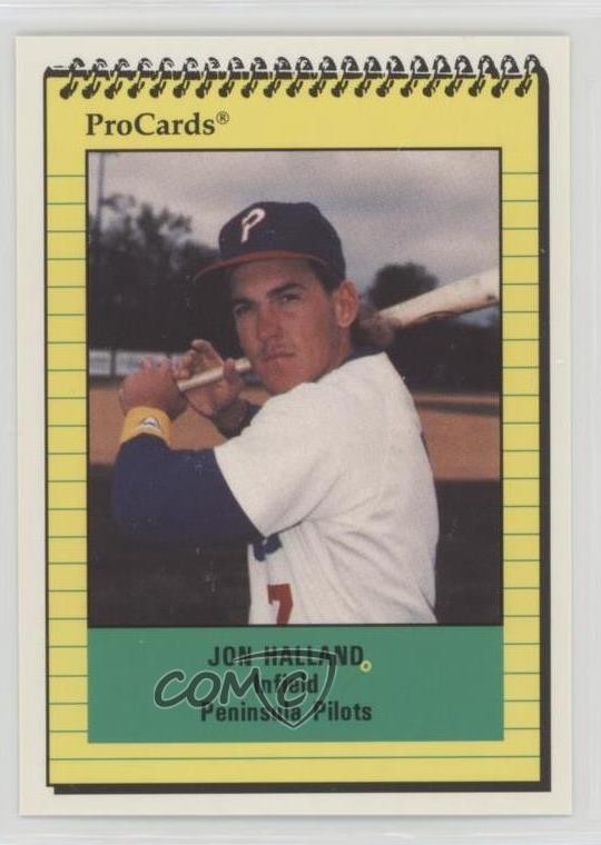 1991 ProCards Minor League Jon Halland #385 0w6
