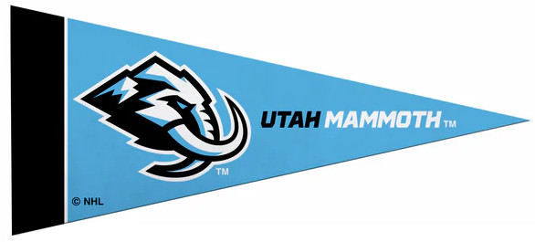 NHL Mini Pennant Set (all 32 Teams including the Utah Hockey Club)