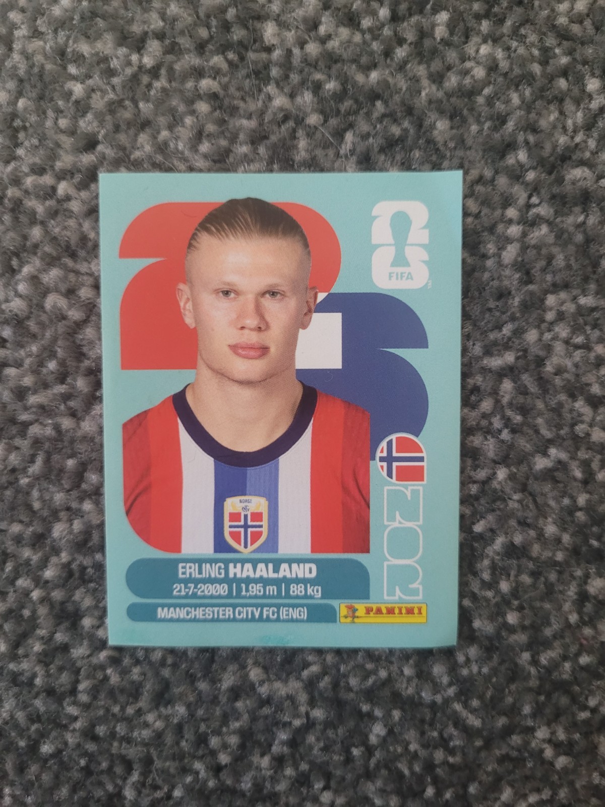 panini world cup 2026 sticker Erling Halland