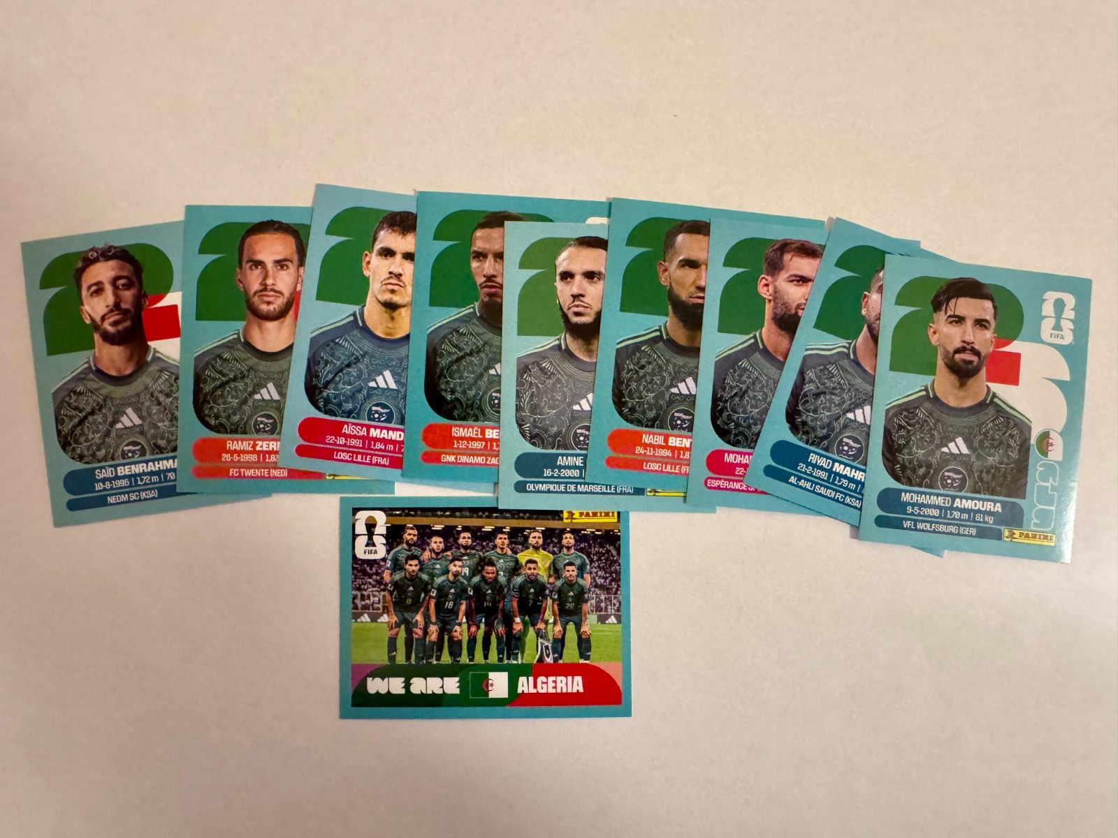 2026 Panini FIFA World Cup Euro Borderless Stickers U Pick – Groups J-L